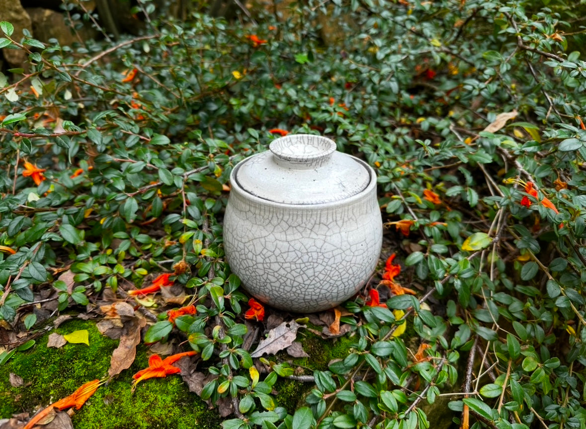 Raku Jar