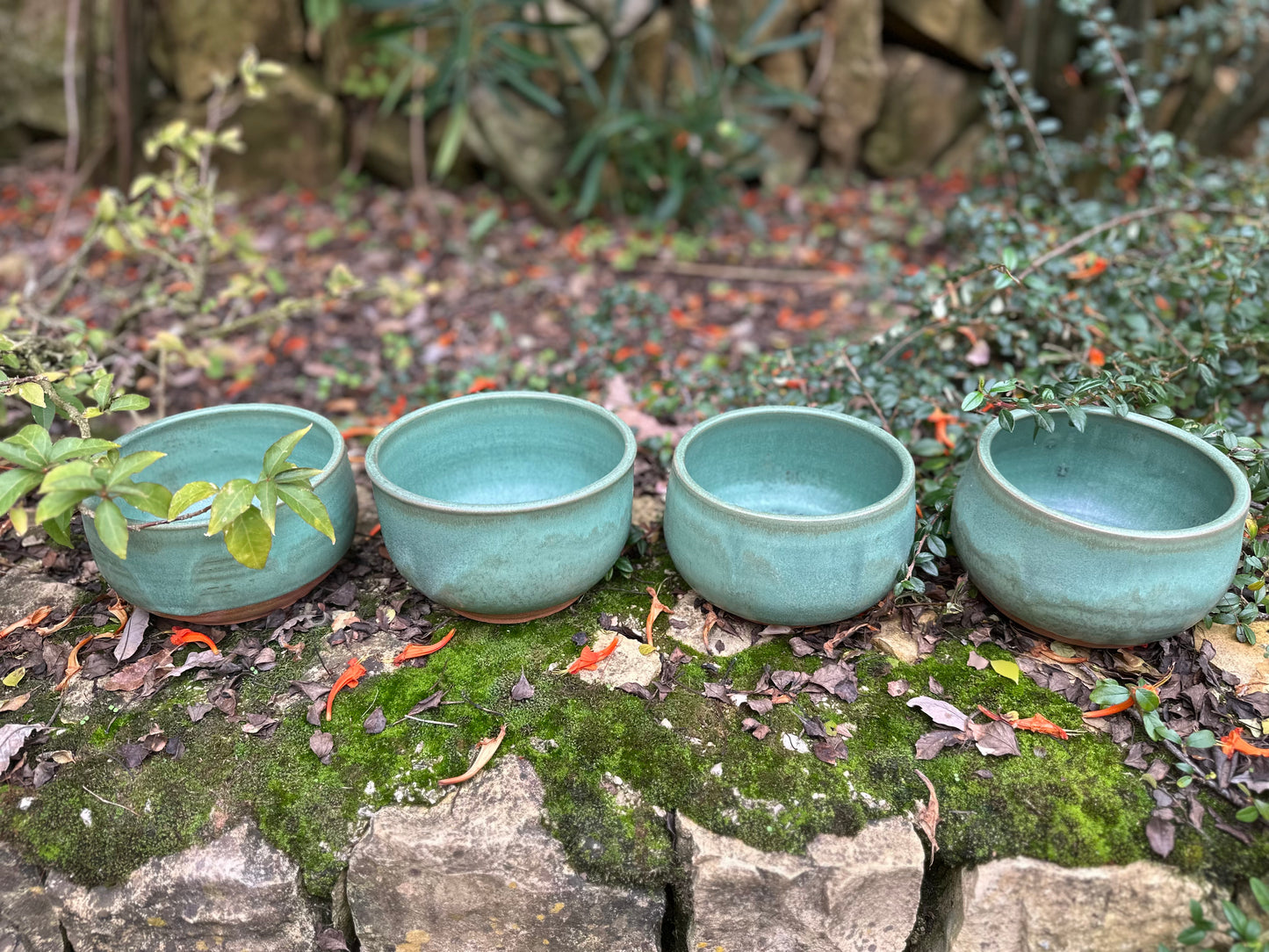 Large Bowls