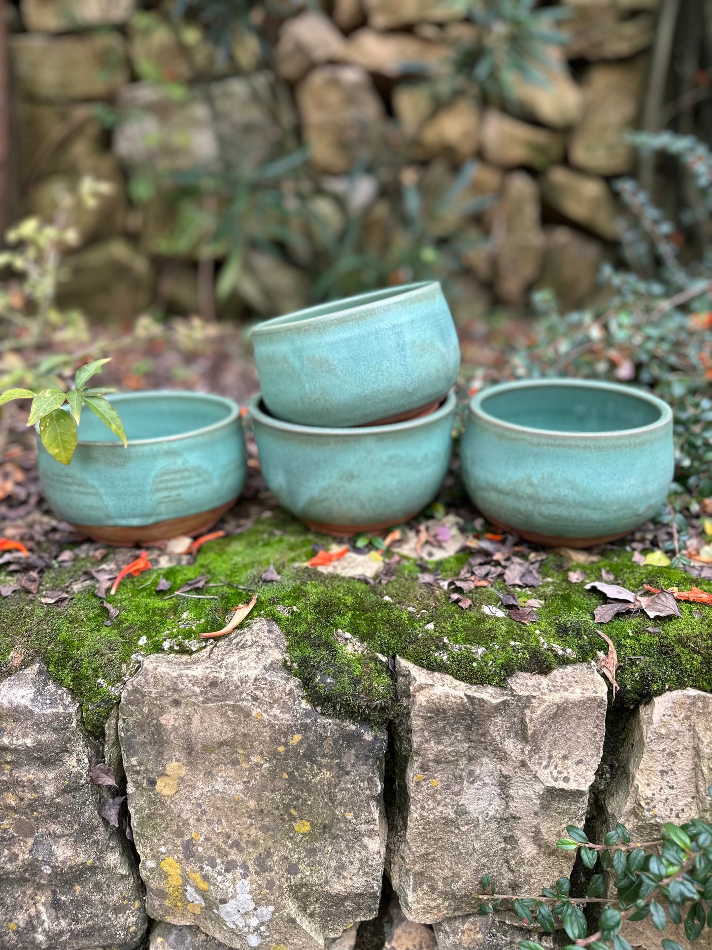 Large Bowls