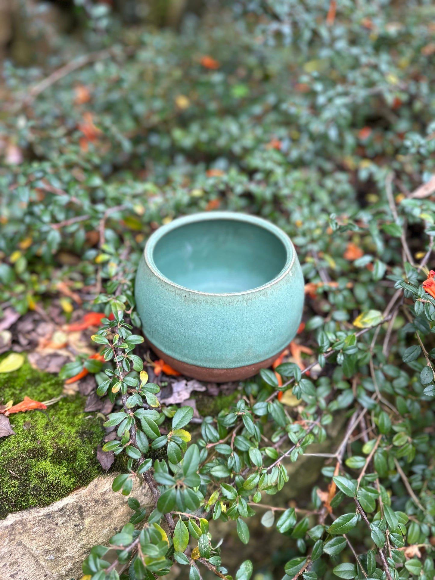 Rounded Bowl