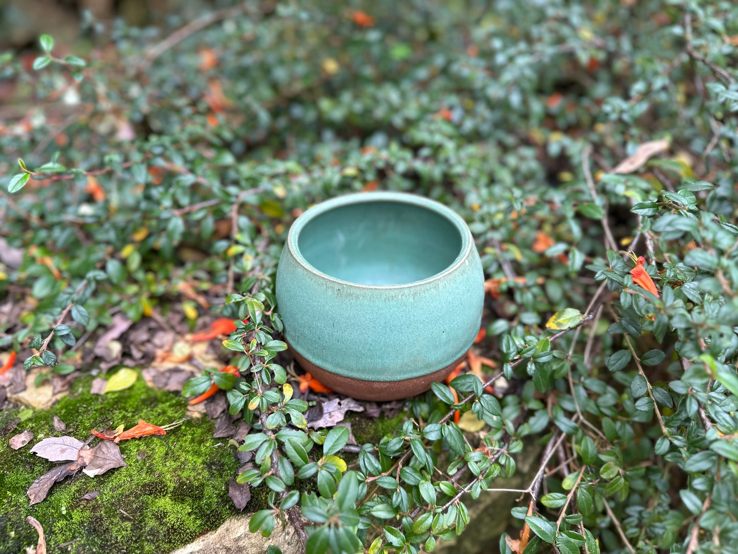 Rounded Bowl